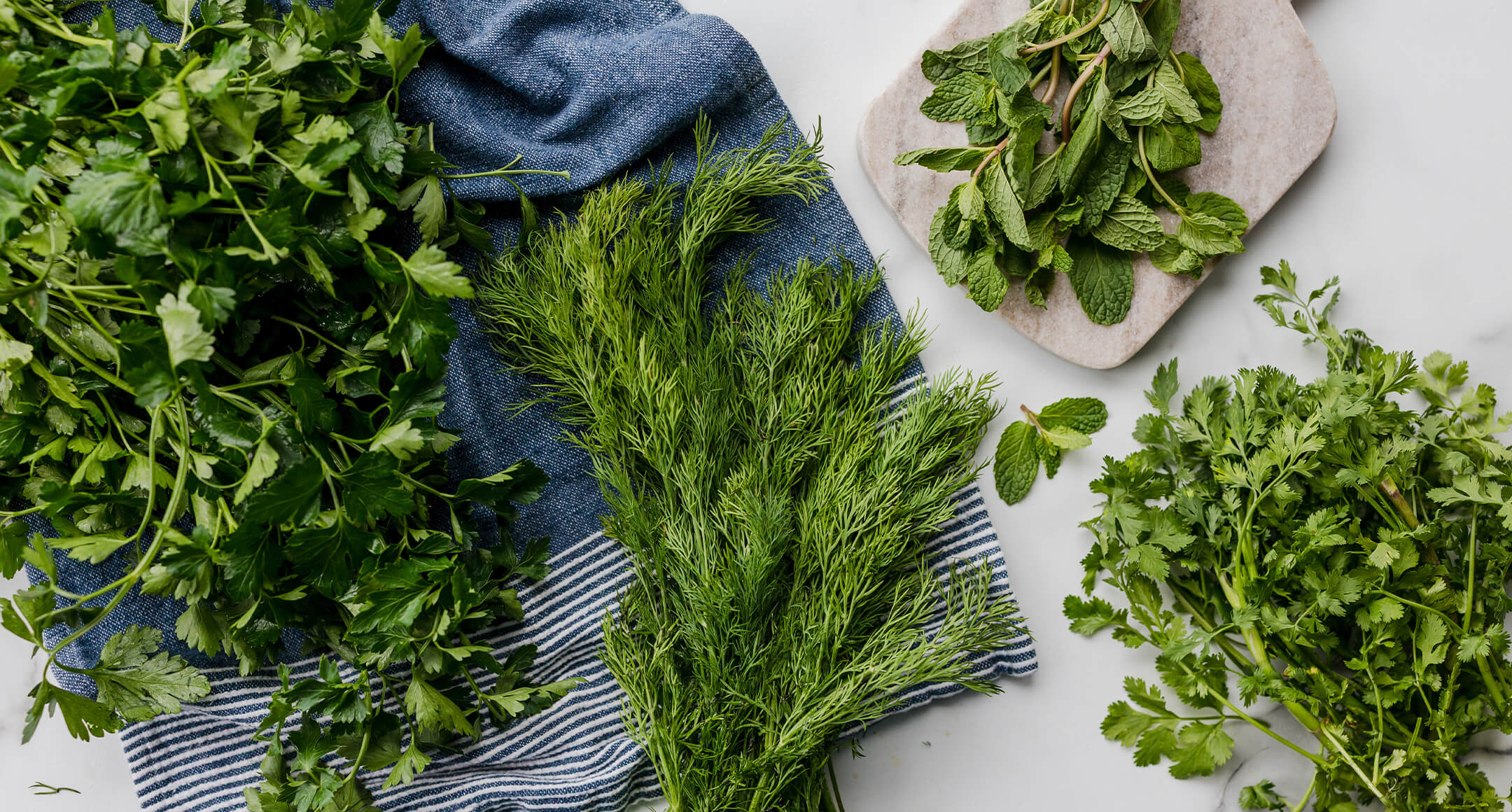 Spring’s Secret Ingredient: Fresh Herbs 